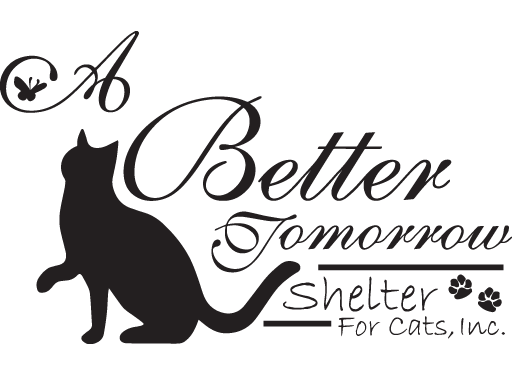 A Better Tomorrow Shelter for Cats